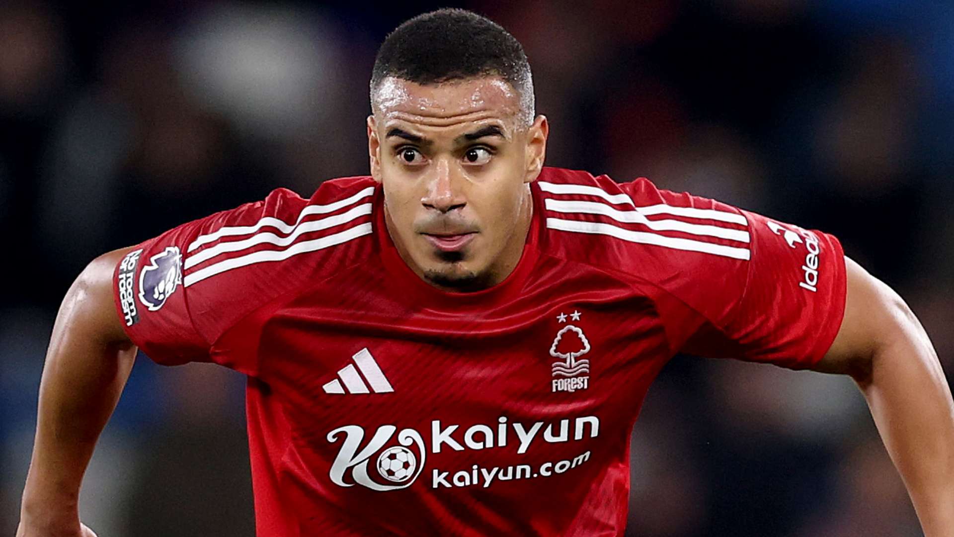 力的球员 力的球员